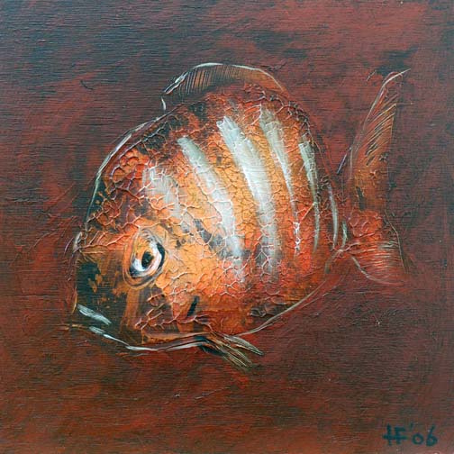 Reef Fish without Frame